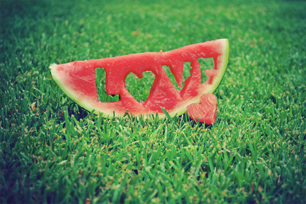 watermelon-love-fruit-fresh-grass-green-red-summer-water-ice-sea-favim-com-445555