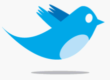 Twitter-Bird