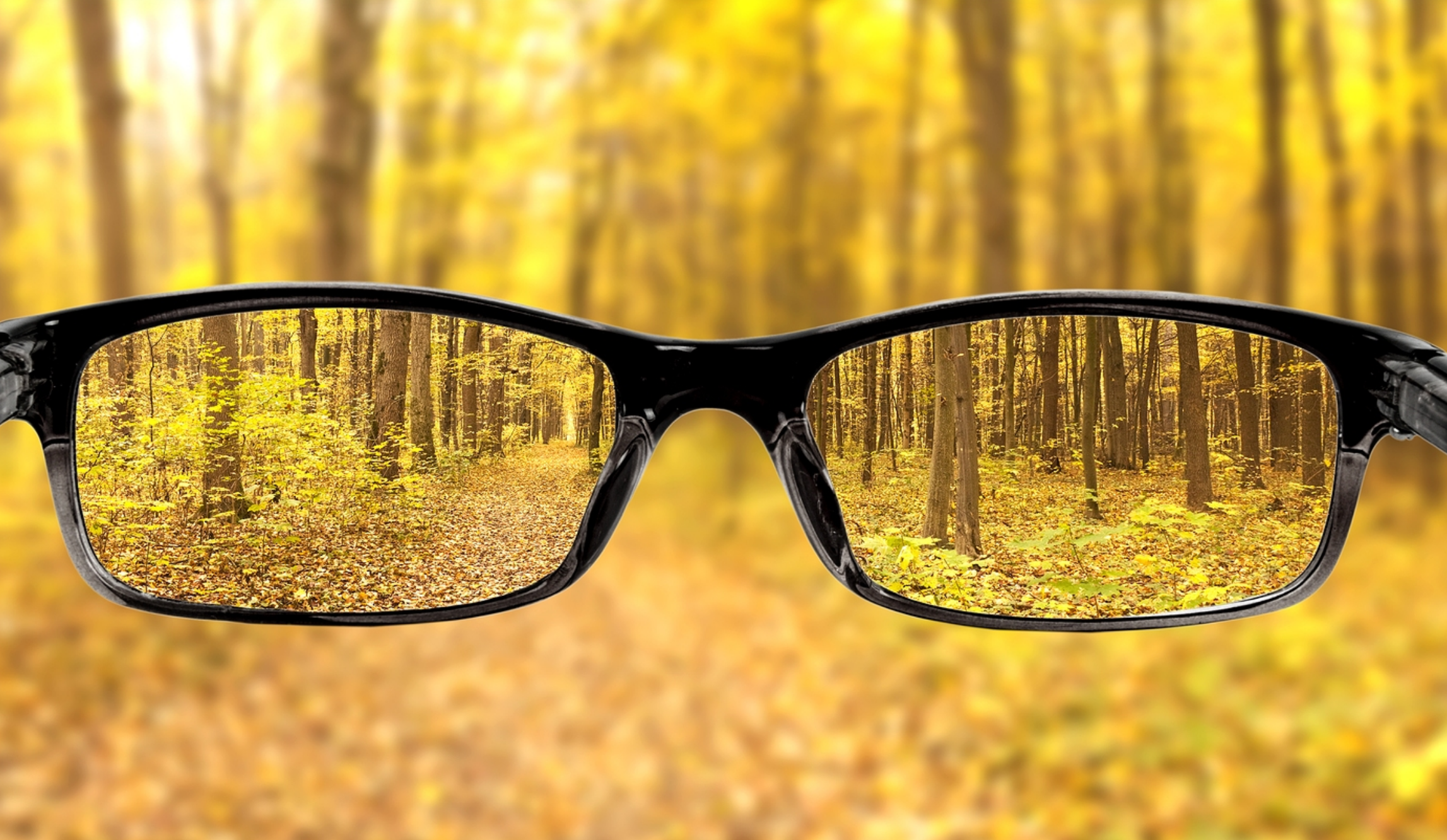 Плохо без очков. Очки на природе. Осень очки. Очки фон. Вид через очки.